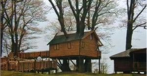 This tree house is wheelchair accessible and provides lots of summer fun for campers at Cradle Beach, outside Buffalo, NY.
