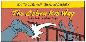 The Cobra Kai Way