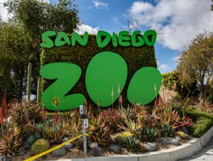 From the moment you enter the San Diego Zoo you get the sense that someone who understands access was part of the planning process.