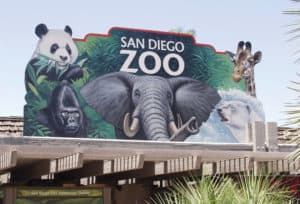 ACS helped improve access at the San Diego Zoo.