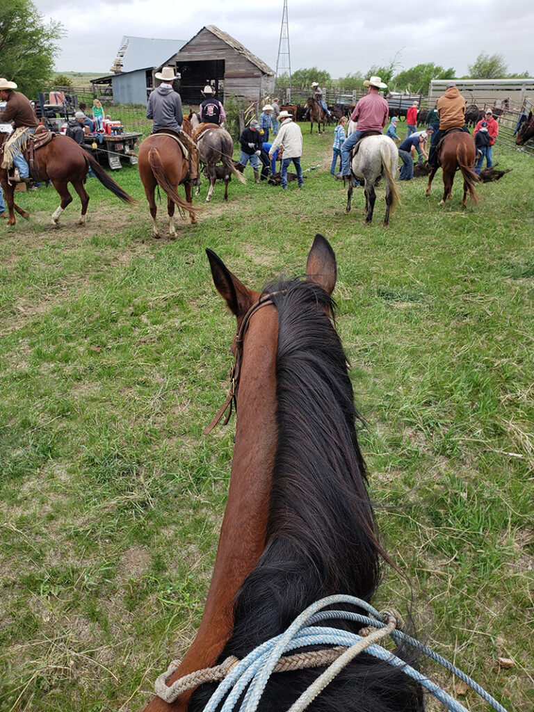 Group of men on horses view from someone on horseback
