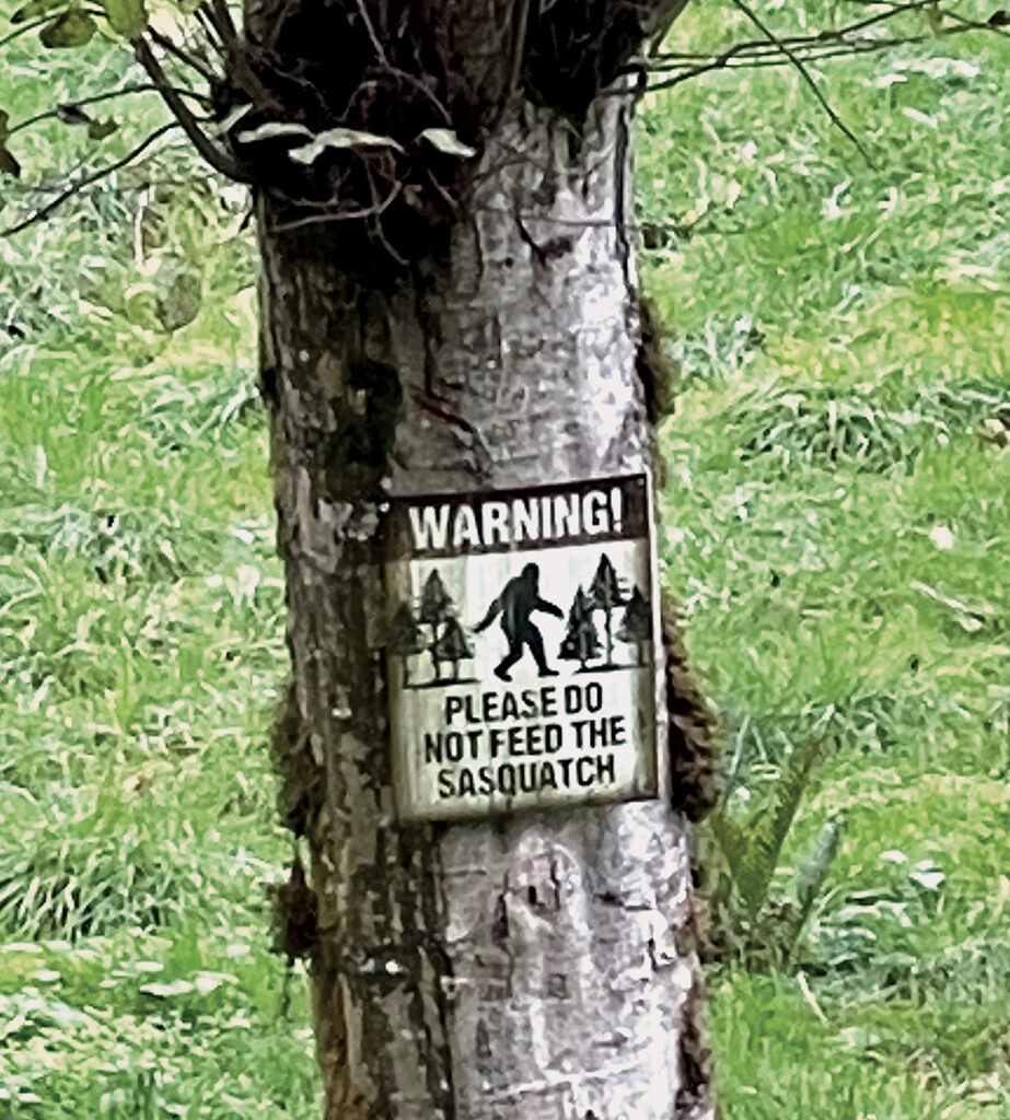 sign on a tree truck stating "Warning: Do not feed the Sasquatch"
