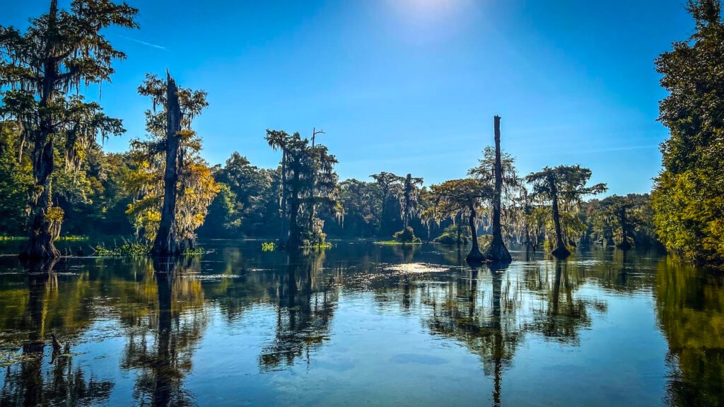 Spanish moss dripping
from cypress trees reflecting off the water