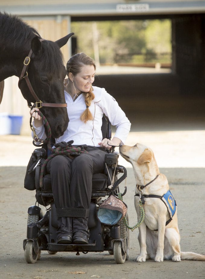 White woman using power wheelchair  with a horse on the left and a yellow lab service dog on the right.