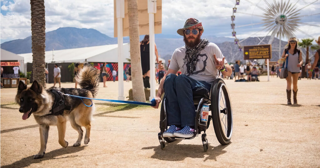 shepherd dog pulling a man in wheelchair at a festival with ferris wheel in the background