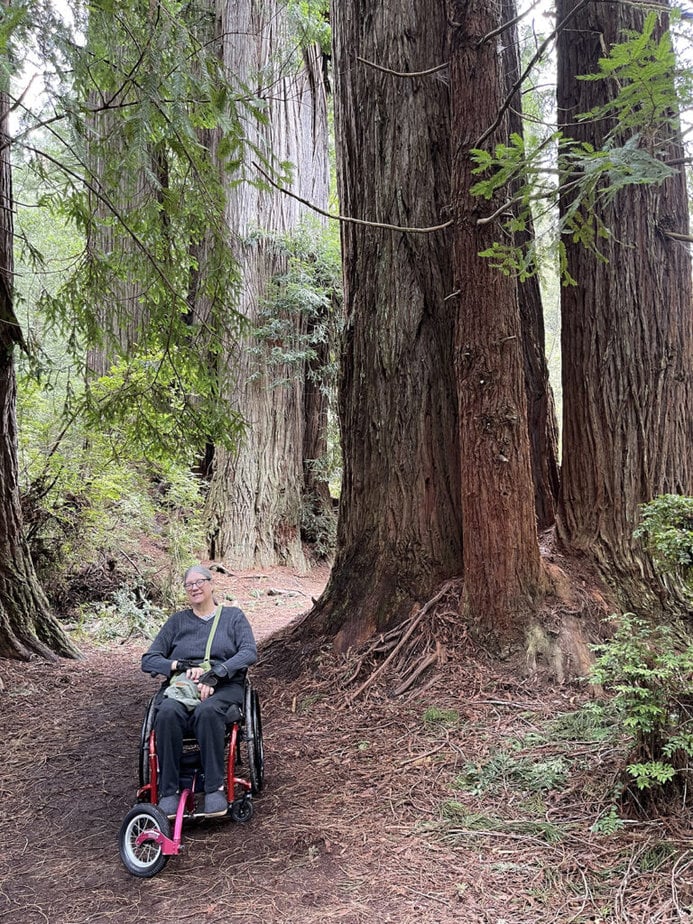 woman in wheelchair in front of huge redwood tree
